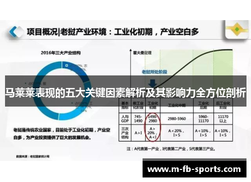 马莱莱表现的五大关键因素解析及其影响力全方位剖析