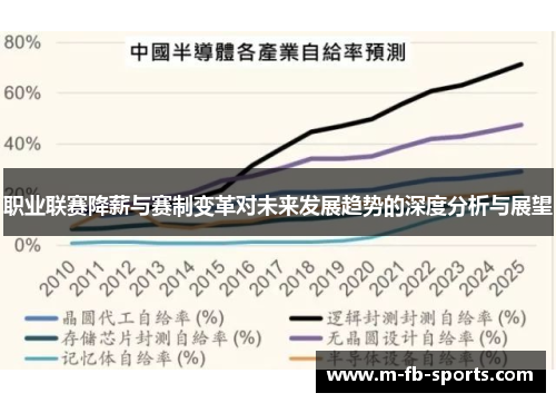 职业联赛降薪与赛制变革对未来发展趋势的深度分析与展望