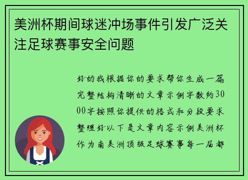 美洲杯期间球迷冲场事件引发广泛关注足球赛事安全问题 美洲杯期间球迷冲场事件引发广泛关注足球赛事安全问题